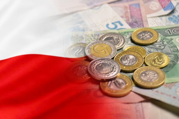 ÁFA-visszatérítés lengyel jármű vásárlása